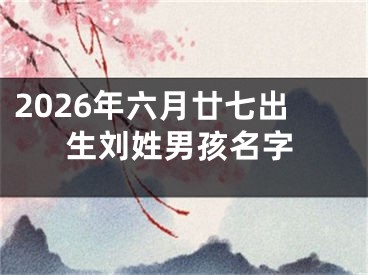 2026年六月廿七出生刘姓男孩名字