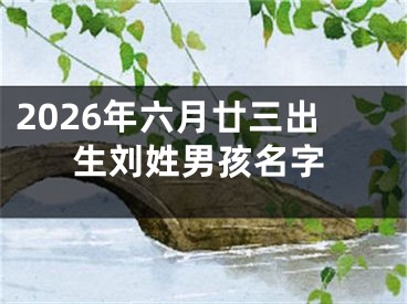 2026年六月廿三出生刘姓男孩名字