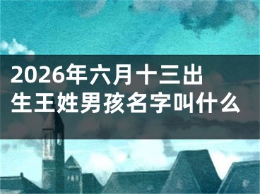2026年六月十三出生王姓男孩名字叫什么