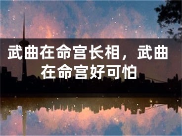 武曲在命宫长相，武曲在命宫好可怕