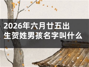 2026年六月廿五出生贺姓男孩名字叫什么