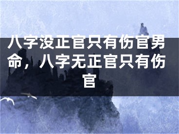 八字没正官只有伤官男命,八字无正官只有伤官