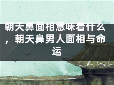 朝天鼻面相意味着什么，朝天鼻男人面相与命运
