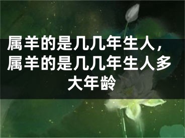 属羊的是几几年生人，属羊的是几几年生人多大年龄