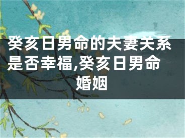 癸亥日男命的夫妻关系是否幸福,癸亥日男命婚姻
