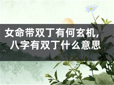 女命带双丁有何玄机,八字有双丁什么意思