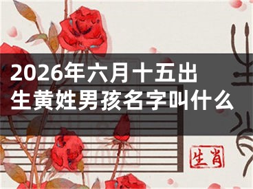 2026年六月十五出生黄姓男孩名字叫什么