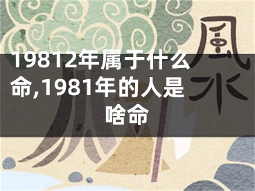 19812年属于什么命,1981年的人是啥命