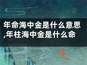 年命海中金是什么意思,年柱海中金是什么命