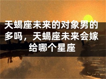 天蝎座未来的对象男的多吗,天蝎座未来会嫁给哪个星座