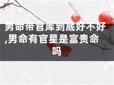 男命带官库到底好不好,男命有官星是富贵命吗