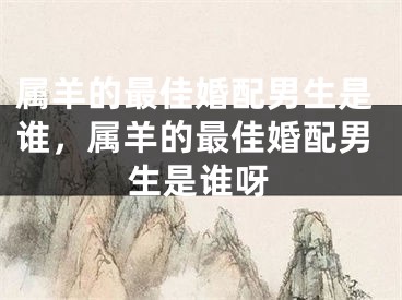 属羊的最佳婚配男生是谁，属羊的最佳婚配男生是谁呀
