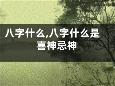八字什么,八字什么是喜神忌神