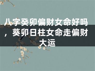 八字癸卯偏财女命好吗，葵卯日柱女命走偏财大运