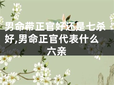 男命带正官好还是七杀好,男命正官代表什么六亲