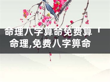 命理八字算命免费算「命理,免费八字箅命