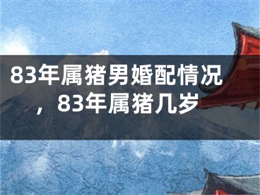 83年属猪男婚配情况，83年属猪几岁
