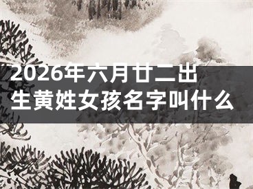 2026年六月廿二出生黄姓女孩名字叫什么