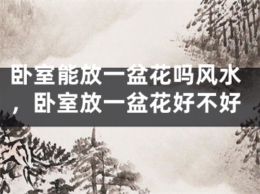 卧室能放一盆花吗风水,卧室放一盆花好不好