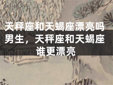 天秤座和天蝎座漂亮吗男生，天秤座和天蝎座谁更漂亮