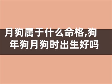 月狗属于什么命格,狗年狗月狗时出生好吗