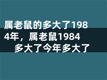 属老鼠的多大了1984年，属老鼠1984多大了今年多大了