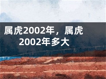 属虎2002年，属虎2002年多大