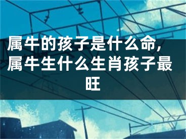 属牛的孩子是什么命,属牛生什么生肖孩子最旺