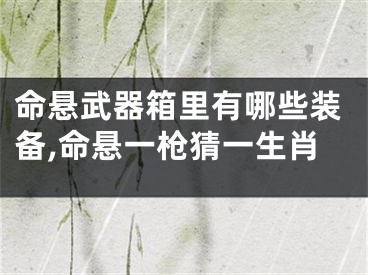 命悬武器箱里有哪些装备,命悬一枪猜一生肖