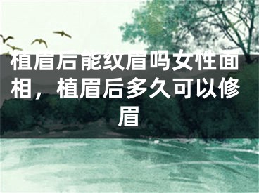 植眉后能纹眉吗女性面相，植眉后多久可以修眉