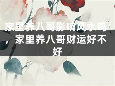 家里养八哥影响风水吗，家里养八哥财运好不好
