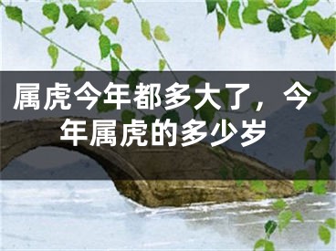 属虎今年都多大了，今年属虎的多少岁