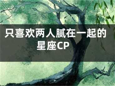 只喜欢两人腻在一起的星座CP