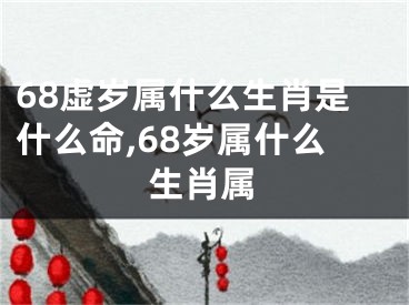 68虚岁属什么生肖是什么命,68岁属什么生肖属