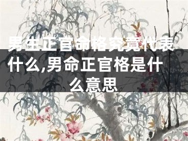 男生正官命格究竟代表什么,男命正官格是什么意思