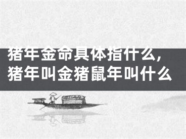 猪年金命具体指什么,猪年叫金猪鼠年叫什么