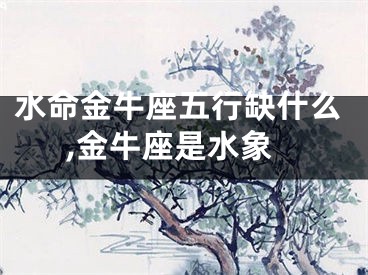 水命金牛座五行缺什么,金牛座是水象