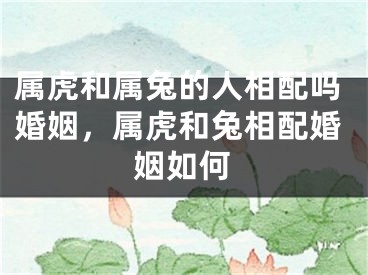 属虎和属兔的人相配吗婚姻，属虎和兔相配婚姻如何