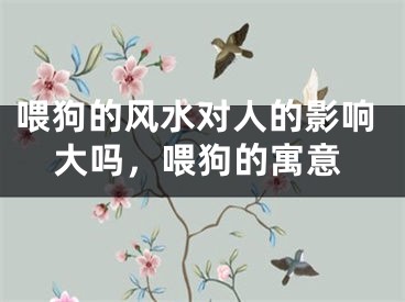 喂狗的风水对人的影响大吗，喂狗的寓意