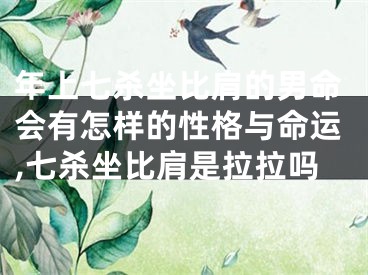 年上七杀坐比肩的男命会有怎样的性格与命运,七杀坐比肩是拉拉吗