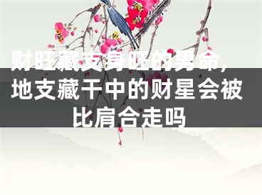 财旺藏支身旺的男命,地支藏干中的财星会被比肩合走吗