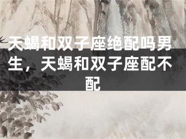 天蝎和双子座绝配吗男生,天蝎和双子座配不配