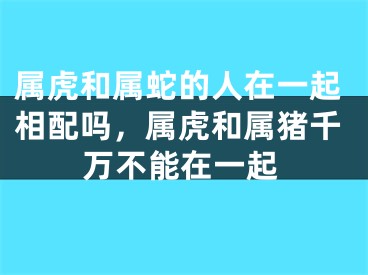 属虎和属蛇的人在一起相配吗，属虎和属猪千万不能在一起
