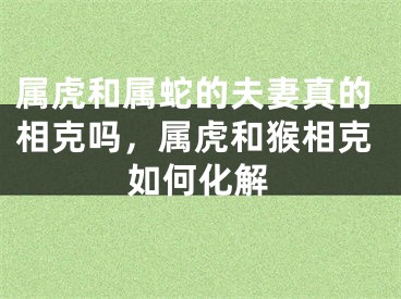 属虎和属蛇的夫妻真的相克吗，属虎和猴相克如何化解