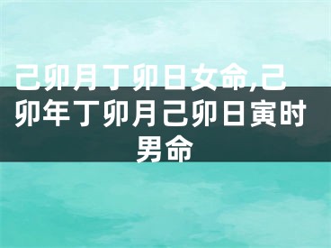 己卯月丁卯日女命,己卯年丁卯月己卯日寅时男命