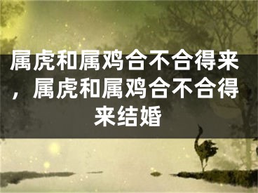 属虎和属鸡合不合得来，属虎和属鸡合不合得来结婚