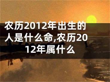 农历2012年出生的人是什么命,农历2012年属什么