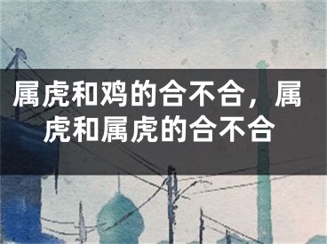 属虎和鸡的合不合，属虎和属虎的合不合
