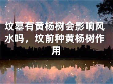 坟墓有黄杨树会影响风水吗，坟前种黄杨树作用