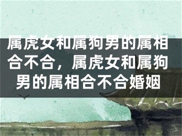 属虎女和属狗男的属相合不合，属虎女和属狗男的属相合不合婚姻